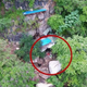 Imagen para el artículo titulado Un dron encuentra a un fugitivo que llevaba 17 años escondido en una cueva remota